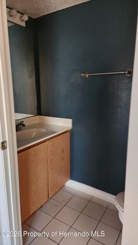 11228 Roman Street, Spring Hill, FL 34609