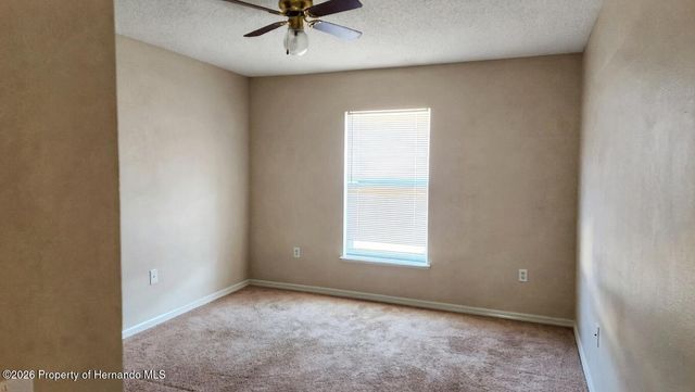 11228 Roman Street, Spring Hill, FL 34609