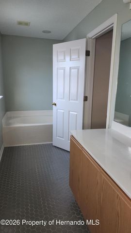 11228 Roman Street, Spring Hill, FL 34609