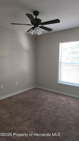 11228 Roman Street, Spring Hill, FL 34609