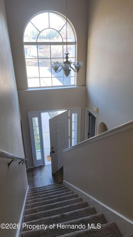 11228 Roman Street, Spring Hill, FL 34609