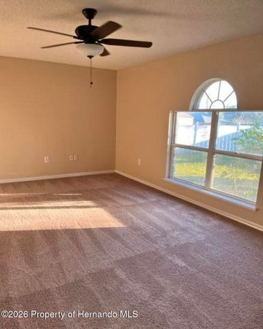 11228 Roman Street, Spring Hill, FL 34609