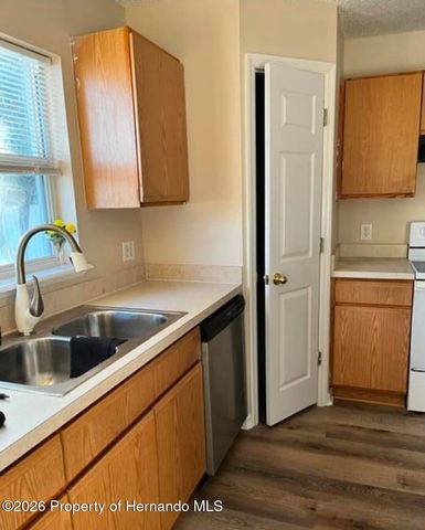 11228 Roman Street, Spring Hill, FL 34609