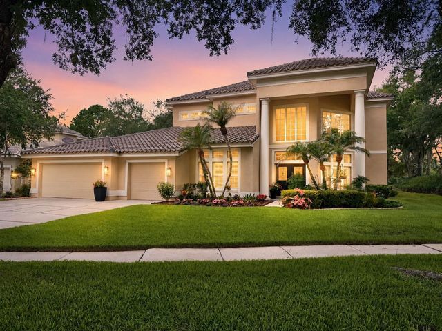 17422 HEATHER OAKS PLACE, Tampa, FL 33647