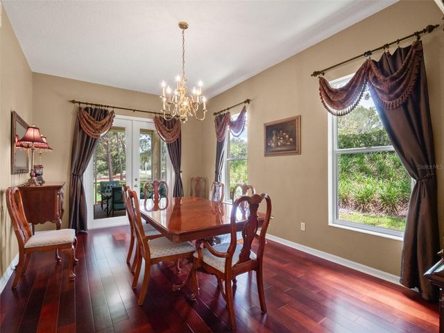 17422 HEATHER OAKS PLACE, Tampa, FL 33647