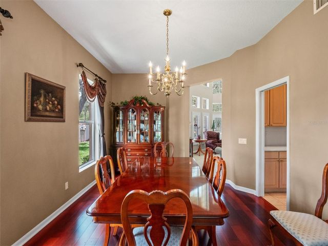 17422 HEATHER OAKS PLACE, Tampa, FL 33647