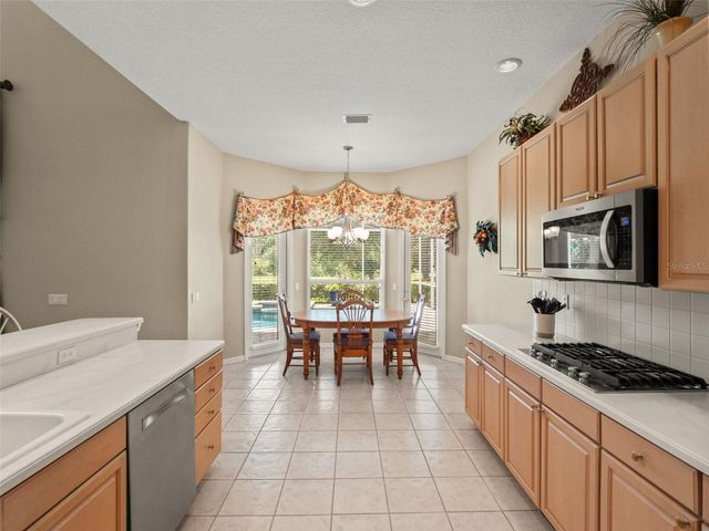 17422 HEATHER OAKS PLACE, Tampa, FL 33647