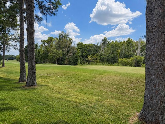 17422 HEATHER OAKS PLACE, Tampa, FL 33647