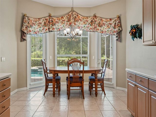 17422 HEATHER OAKS PLACE, Tampa, FL 33647
