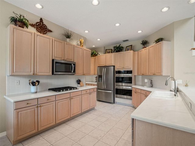 17422 HEATHER OAKS PLACE, Tampa, FL 33647