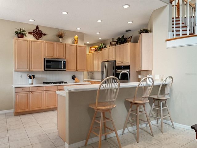 17422 HEATHER OAKS PLACE, Tampa, FL 33647