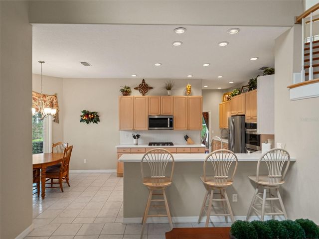 17422 HEATHER OAKS PLACE, Tampa, FL 33647
