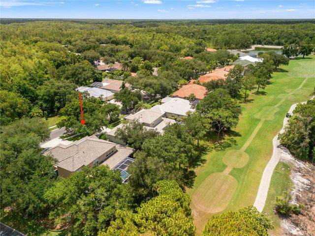 17422 HEATHER OAKS PLACE, Tampa, FL 33647
