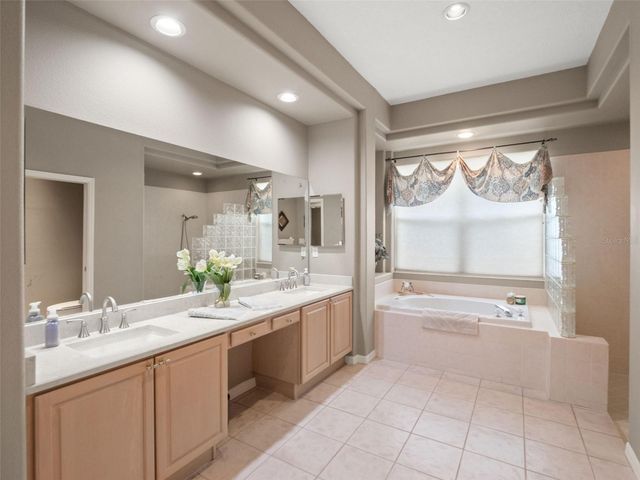 17422 HEATHER OAKS PLACE, Tampa, FL 33647