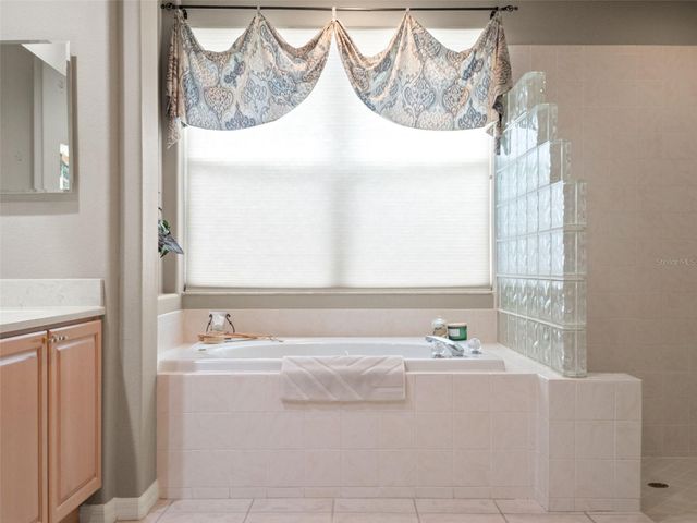 17422 HEATHER OAKS PLACE, Tampa, FL 33647