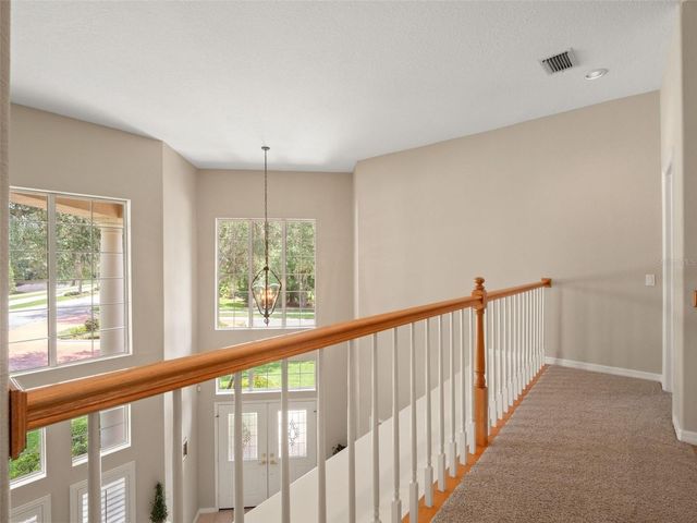 17422 HEATHER OAKS PLACE, Tampa, FL 33647