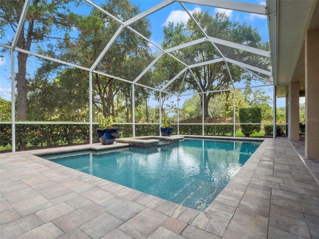 17422 HEATHER OAKS PLACE, Tampa, FL 33647