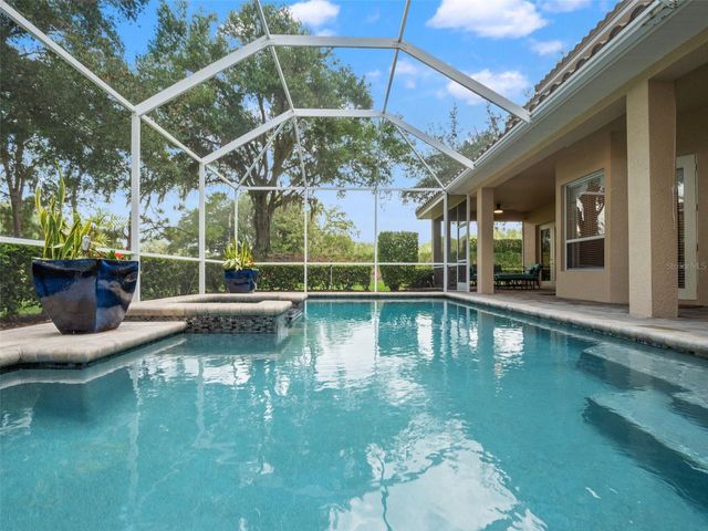 17422 HEATHER OAKS PLACE, Tampa, FL 33647