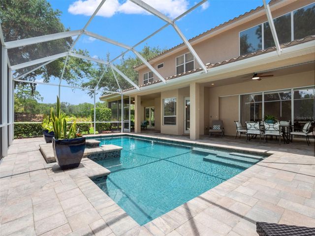 17422 HEATHER OAKS PLACE, Tampa, FL 33647