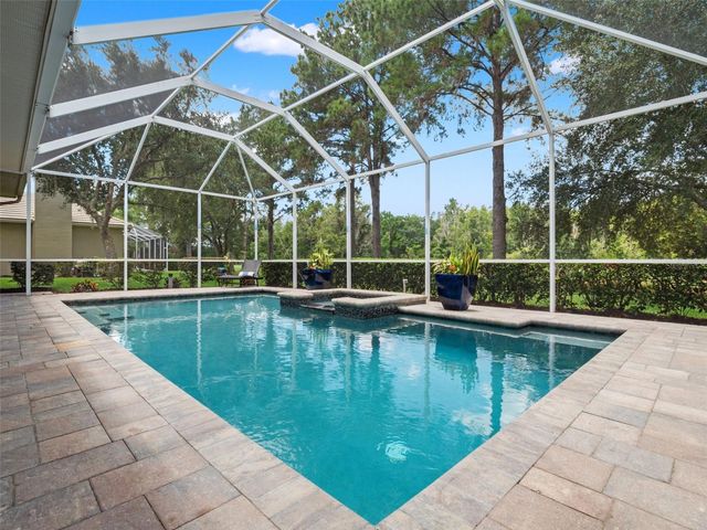 17422 HEATHER OAKS PLACE, Tampa, FL 33647