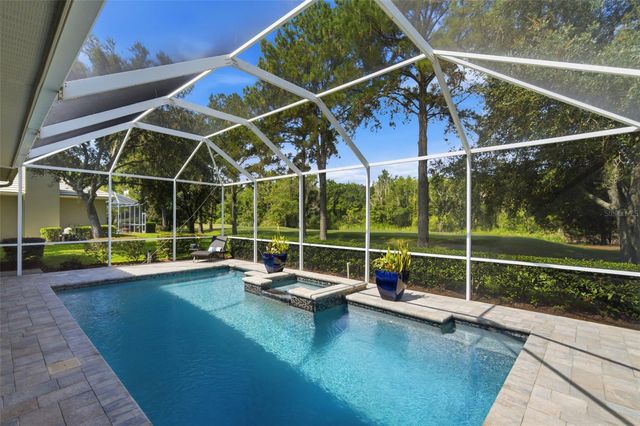 17422 HEATHER OAKS PLACE, Tampa, FL 33647