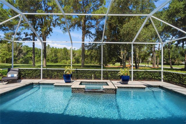 17422 HEATHER OAKS PLACE, Tampa, FL 33647