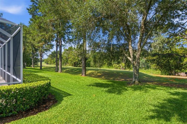 17422 HEATHER OAKS PLACE, Tampa, FL 33647