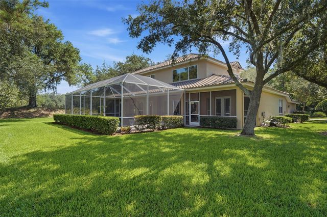 17422 HEATHER OAKS PLACE, Tampa, FL 33647