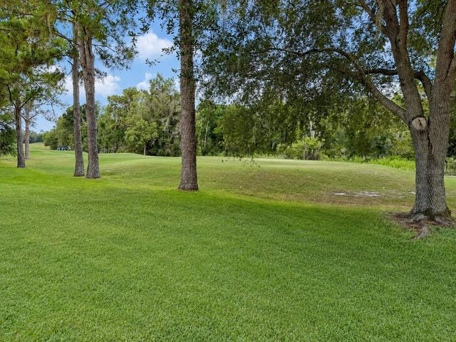 17422 HEATHER OAKS PLACE, Tampa, FL 33647