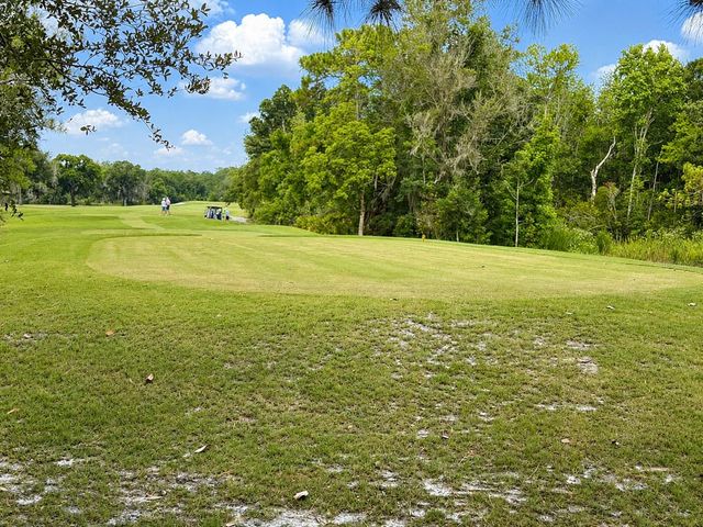 17422 HEATHER OAKS PLACE, Tampa, FL 33647