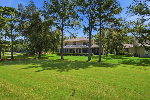 17422 HEATHER OAKS PLACE, Tampa, FL 33647