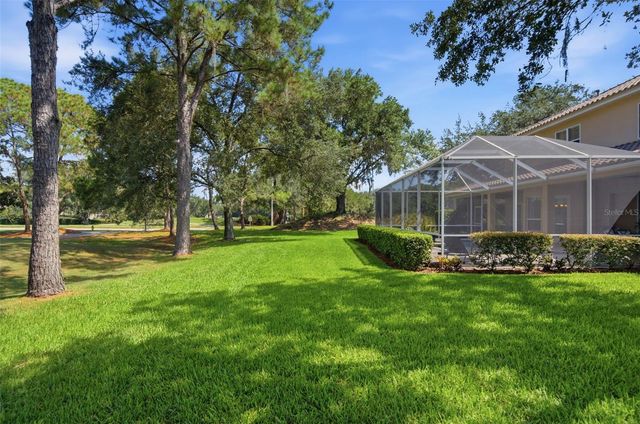 17422 HEATHER OAKS PLACE, Tampa, FL 33647