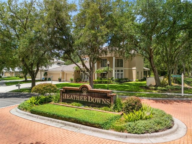 17422 HEATHER OAKS PLACE, Tampa, FL 33647
