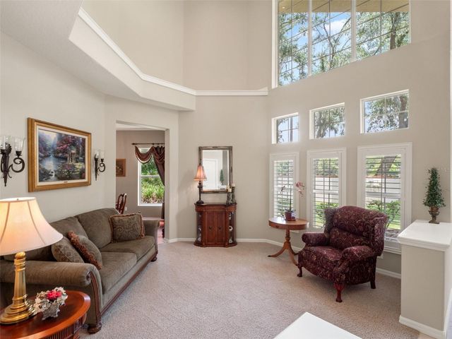 17422 HEATHER OAKS PLACE, Tampa, FL 33647