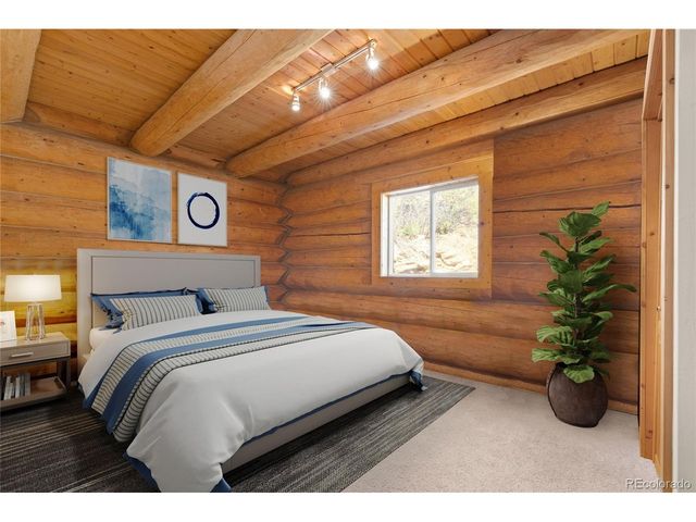 644 Mill Creek Rd, Idaho Springs, CO 80436