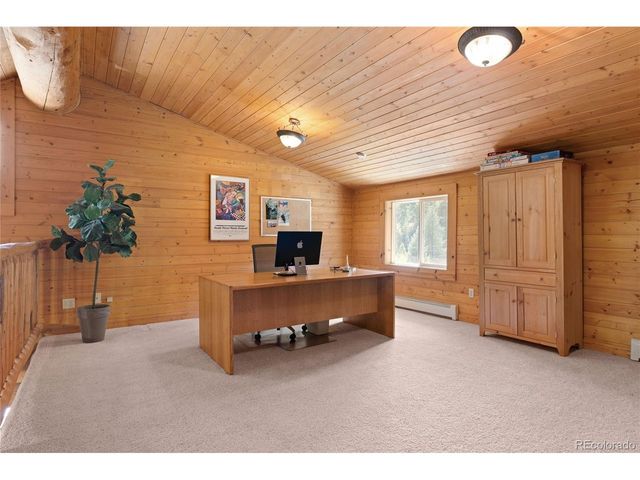 644 Mill Creek Rd, Idaho Springs, CO 80436