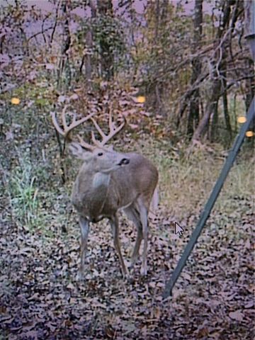 19055 Cove Creek Road, Prairie Grove, AR 72753