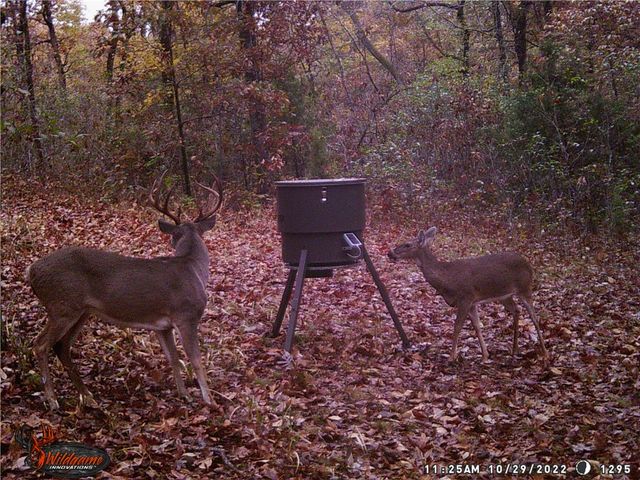 19055 Cove Creek Road, Prairie Grove, AR 72753