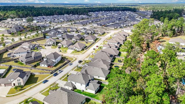 14118 Savage River Court, Conroe, TX 77384