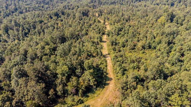 314 Bear Bluff Trail, Ravenden, AR 72459