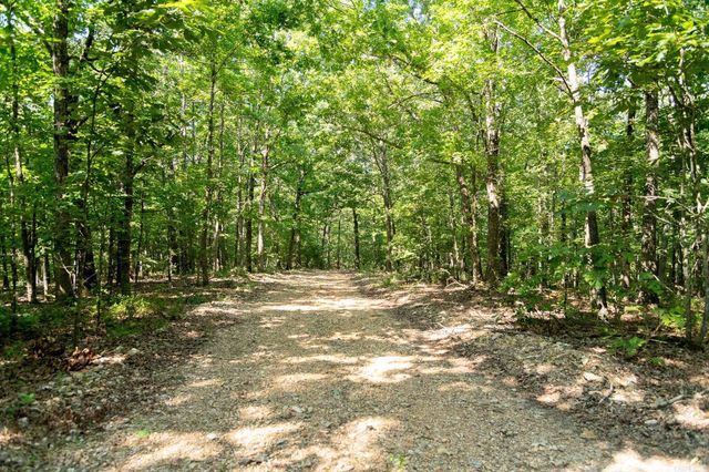 314 Bear Bluff Trail, Ravenden, AR 72459