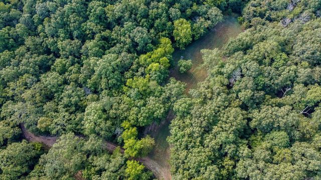 314 Bear Bluff Trail, Ravenden, AR 72459