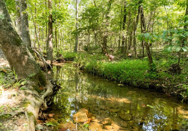 314 Bear Bluff Trail, Ravenden, AR 72459