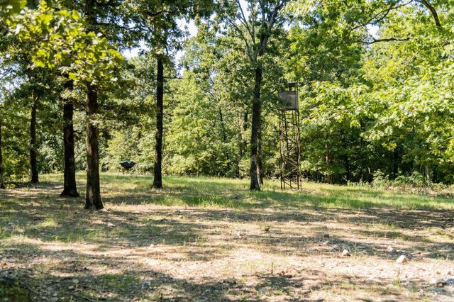 314 Bear Bluff Trail, Ravenden, AR 72459