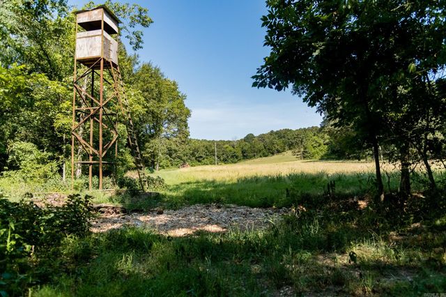 314 Bear Bluff Trail, Ravenden, AR 72459