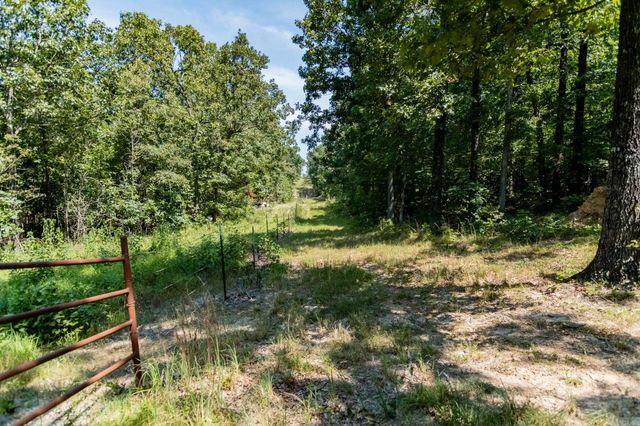 314 Bear Bluff Trail, Ravenden, AR 72459