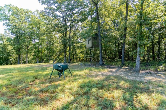 314 Bear Bluff Trail, Ravenden, AR 72459