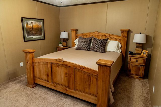 314 Bear Bluff Trail, Ravenden, AR 72459