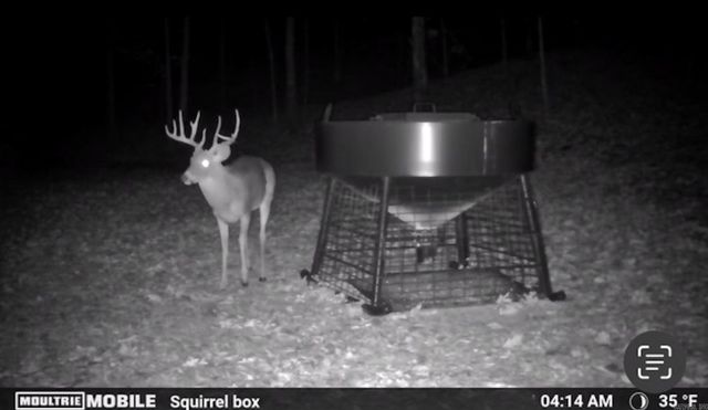 314 Bear Bluff Trail, Ravenden, AR 72459