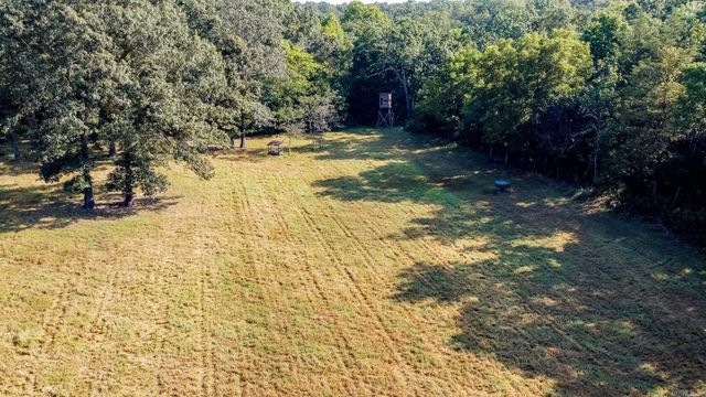 314 Bear Bluff Trail, Ravenden, AR 72459